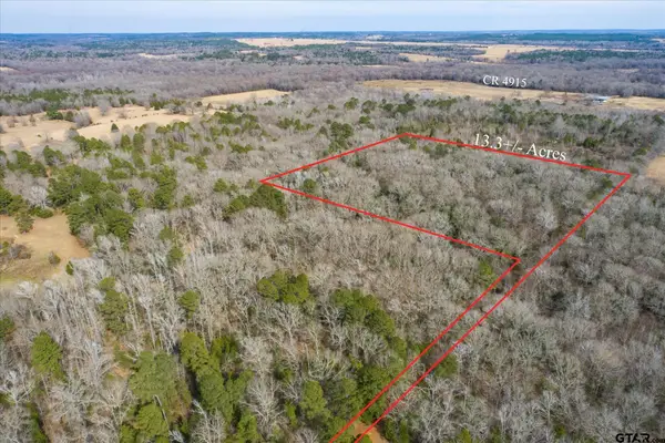 TBD County Road 4917, Ben Wheeler, TX 75754