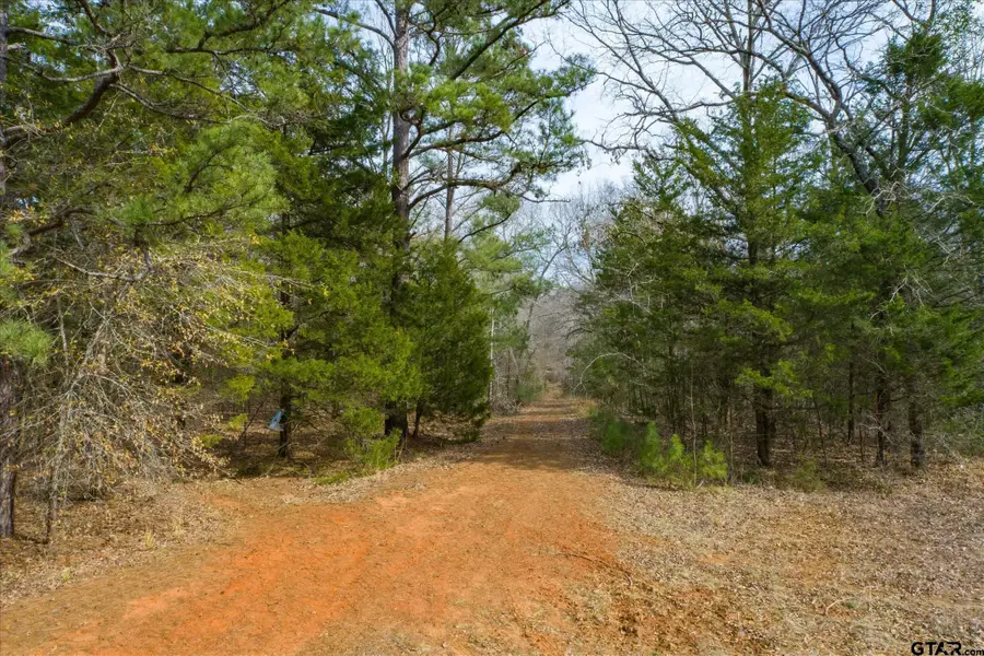 TBD County Road 4917, Ben Wheeler, TX 75754 - Image #2