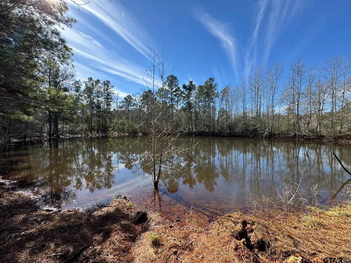 7365 N FM 2022, Grapeland, TX 75844 - #1