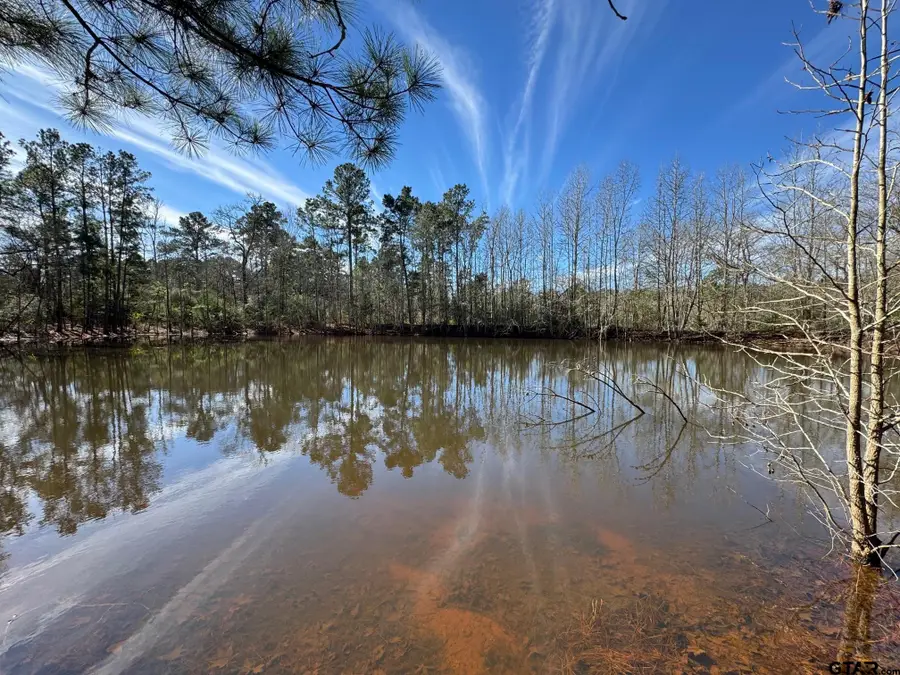 7365 N FM 2022, Grapeland, TX 75844 - #2