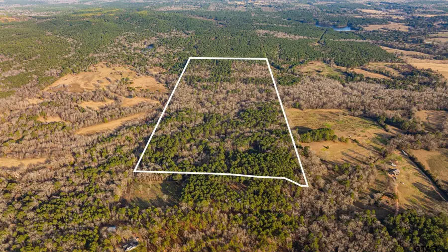 TBD Jasmine Road, Gilmer, TX 75644 - Image #2