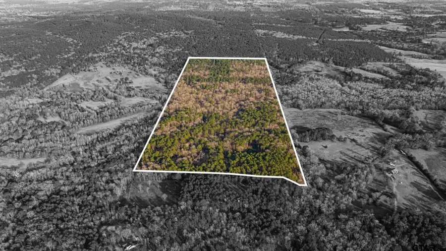 TBD Jasmine Road, Gilmer, TX 75644 - Image #3