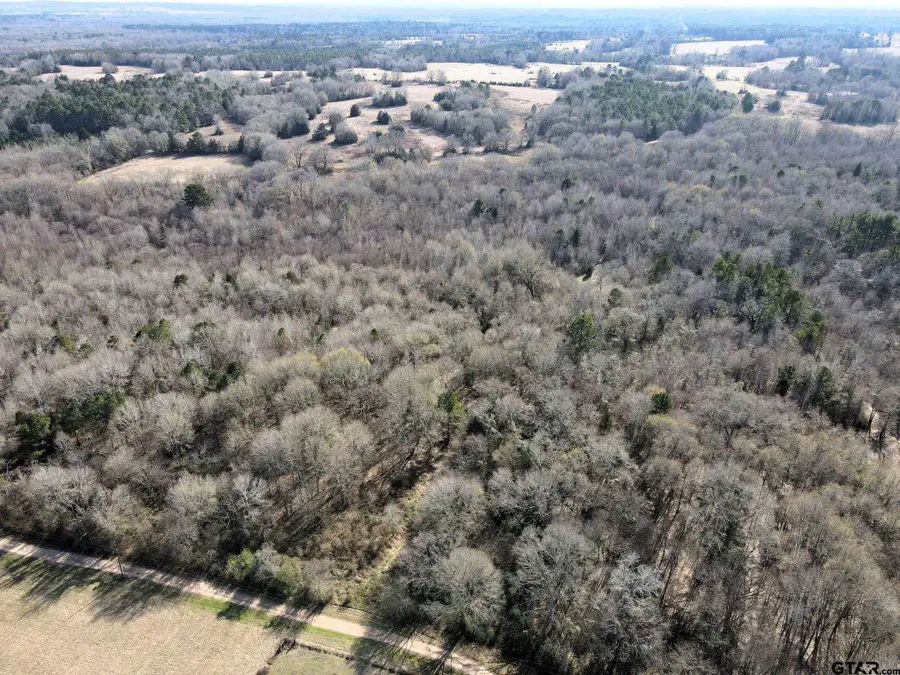 TBD CR 4903, Jacksonville, TX 75766 - Image #3