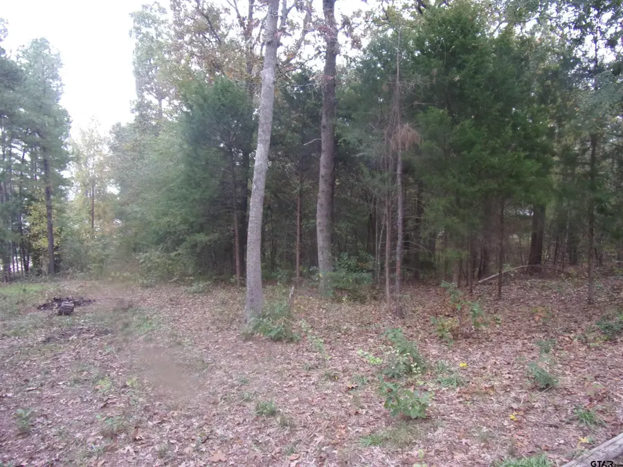 111 Mimosa Drive, Murchison, TX 75778 - Image #2