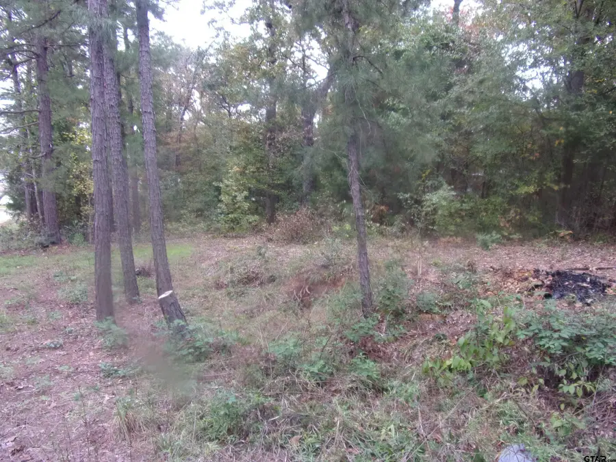 111 Mimosa Drive, Murchison, TX 75778 - Image #3