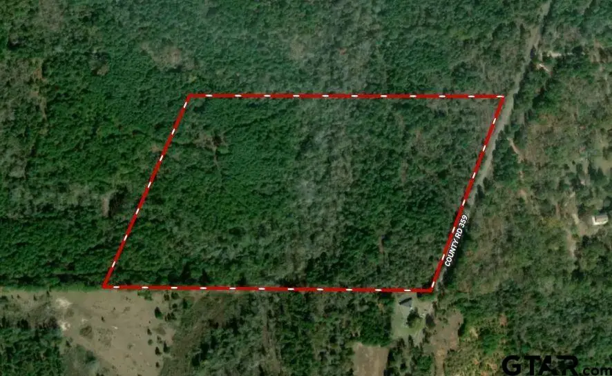 000 County Rd 359, Winona, TX 75792 - Image #2