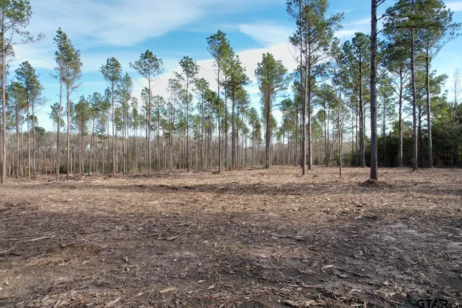 Tract A County Road 4037, Timpson, TX 75975 - Image #2