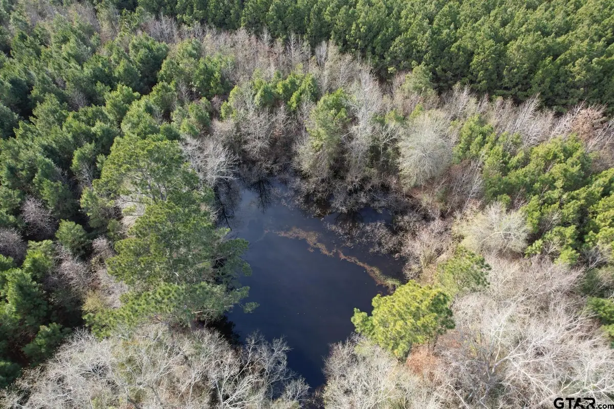 Tract D County Road 4037, Timpson, TX 75975 - #1