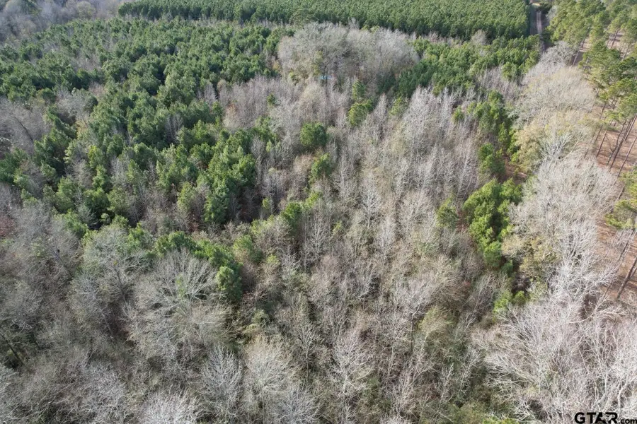 Tract D County Road 4037, Timpson, TX 75975 - #2