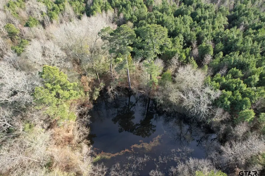 Tract D County Road 4037, Timpson, TX 75975 - #3