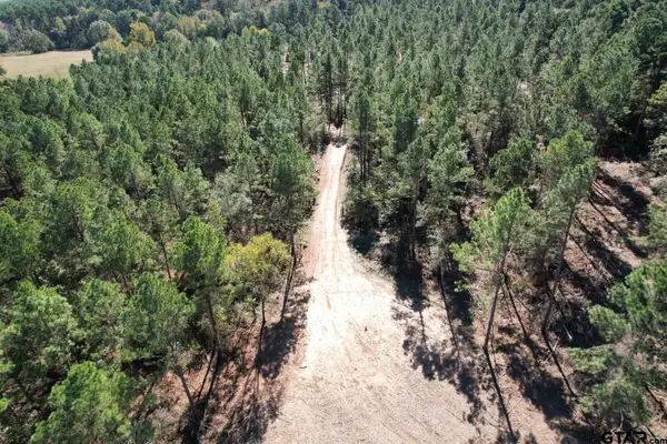 TBD-A Hwy 84, Mt Enterprise, TX 75681