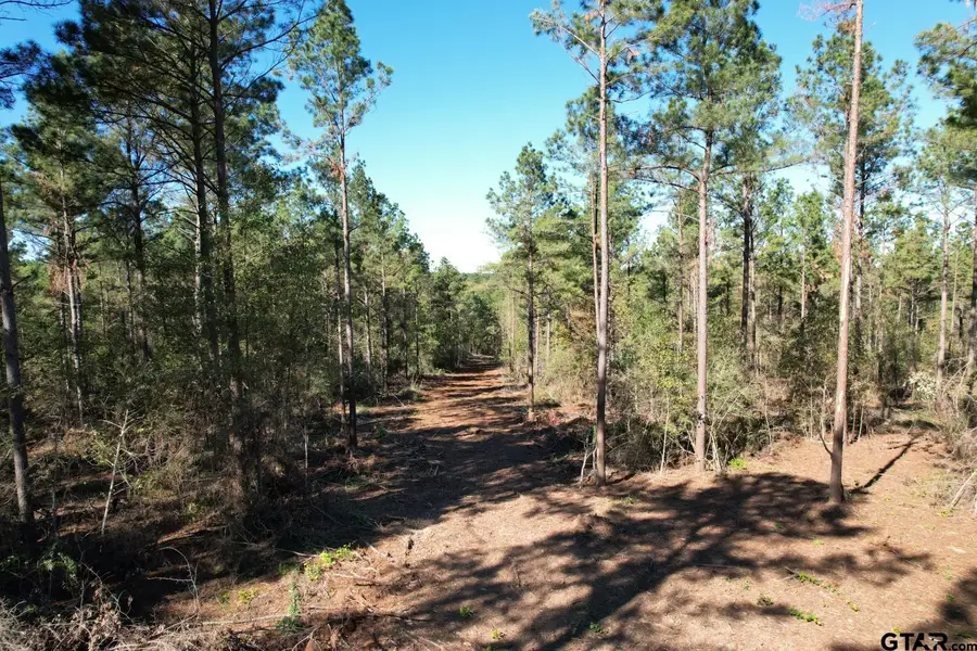 TBD-A Hwy 84, Mount Enterprise, TX 75681 - #2