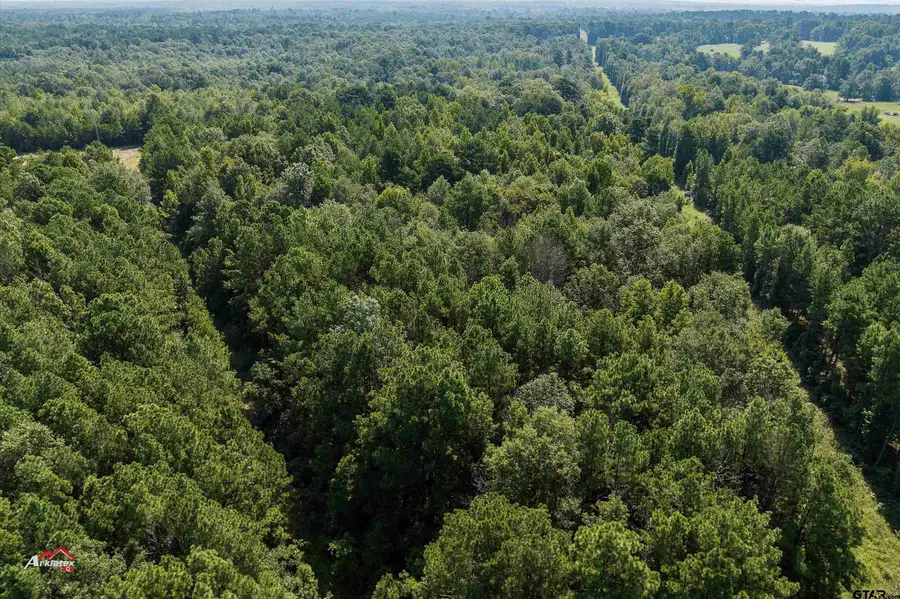 TBD Cole Rd, Marshall, TX 75672 - Image #3