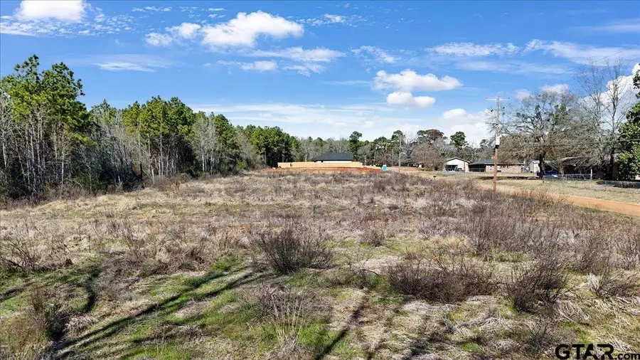 Lot 2 Ellis Street, Rusk, TX 75785 - Image #2