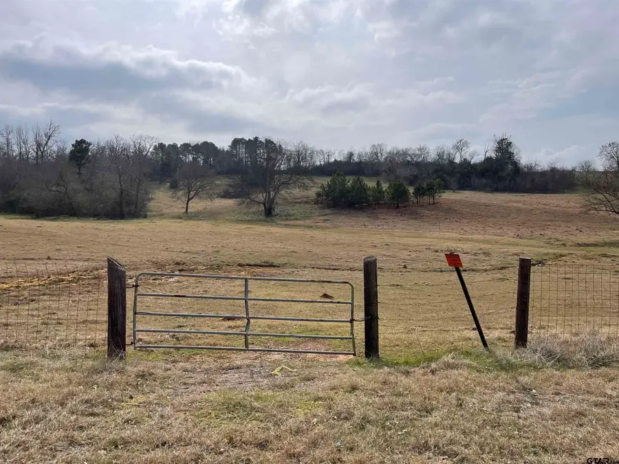 101 COUNTY ROAD 3504, Bullard, TX 75757 - Image #2