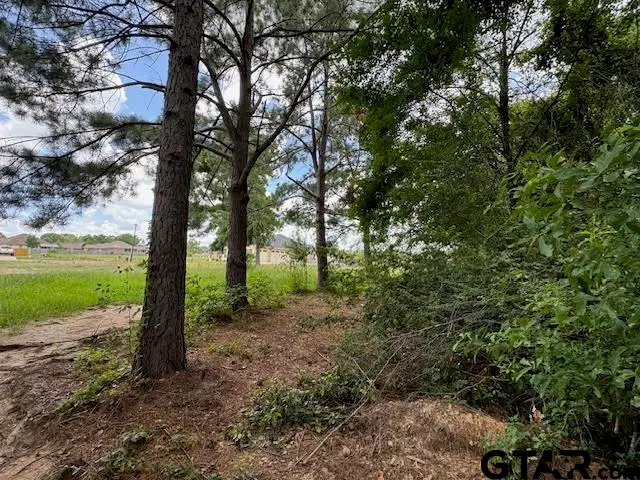 568 Imagine Drive, Lindale, TX 75771 - Image #3