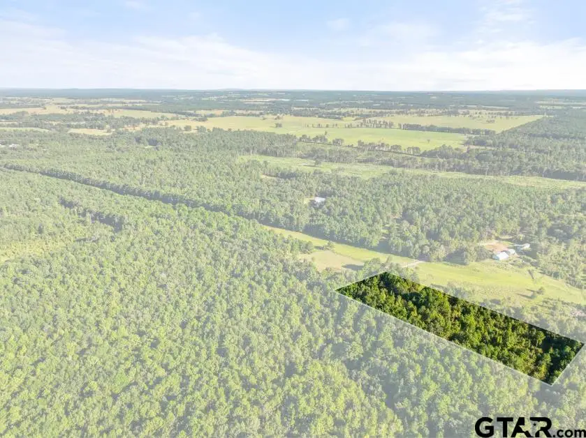 545 CR 4224, Troup, TX 75789 - Image #3