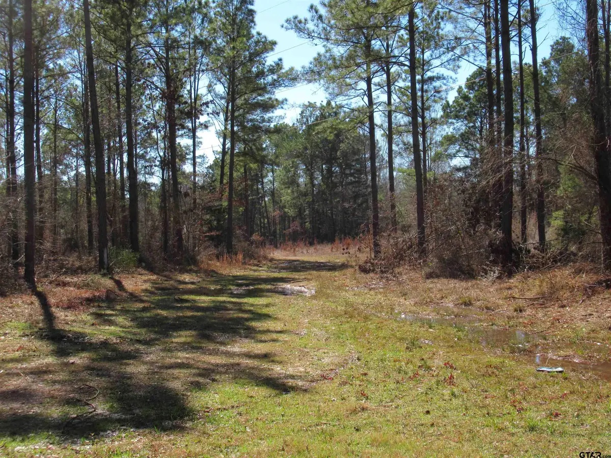 105.4 C Hwy 84, Reklaw, TX 75784 - Image #1