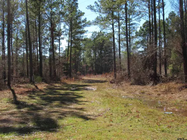 105.4 C Hwy 84, Reklaw, TX 75784