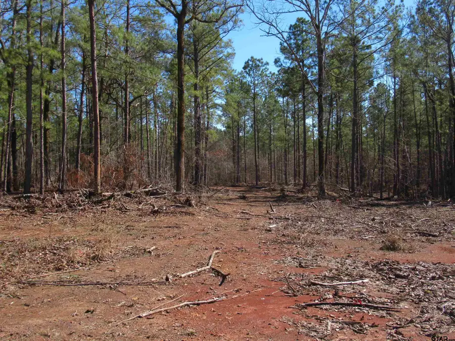 105.4 C Hwy 84, Reklaw, TX 75784 - Image #3