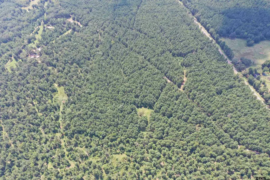 TBD E Hwy 84, Rusk, TX 75785 - Image #3