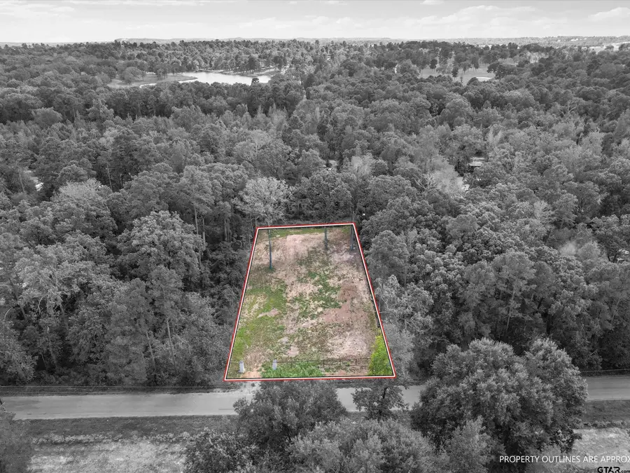 TBD Groundhog Rd, Gilmer, TX 75644 - #2
