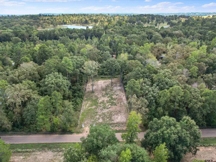 TBD Groundhog Rd, Gilmer, TX 75644 - #3