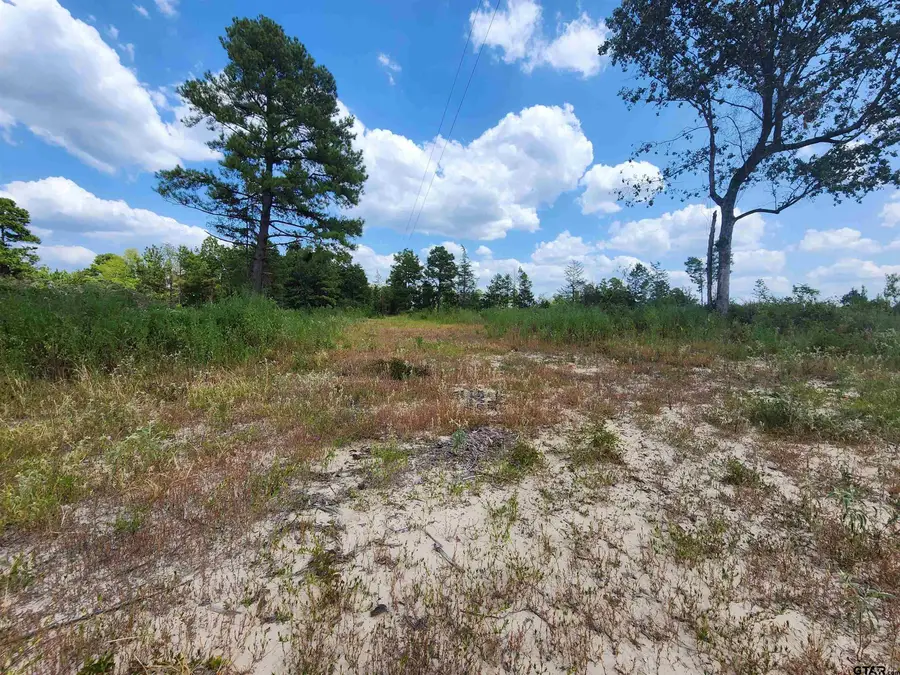 TRACT 4 TBD COUNTY RD 1762, Linden, TX 75563 - Image #3