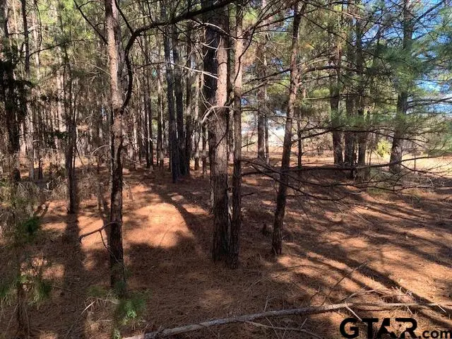 000 Hwy 31, Tyler, TX 75709 - Image #3