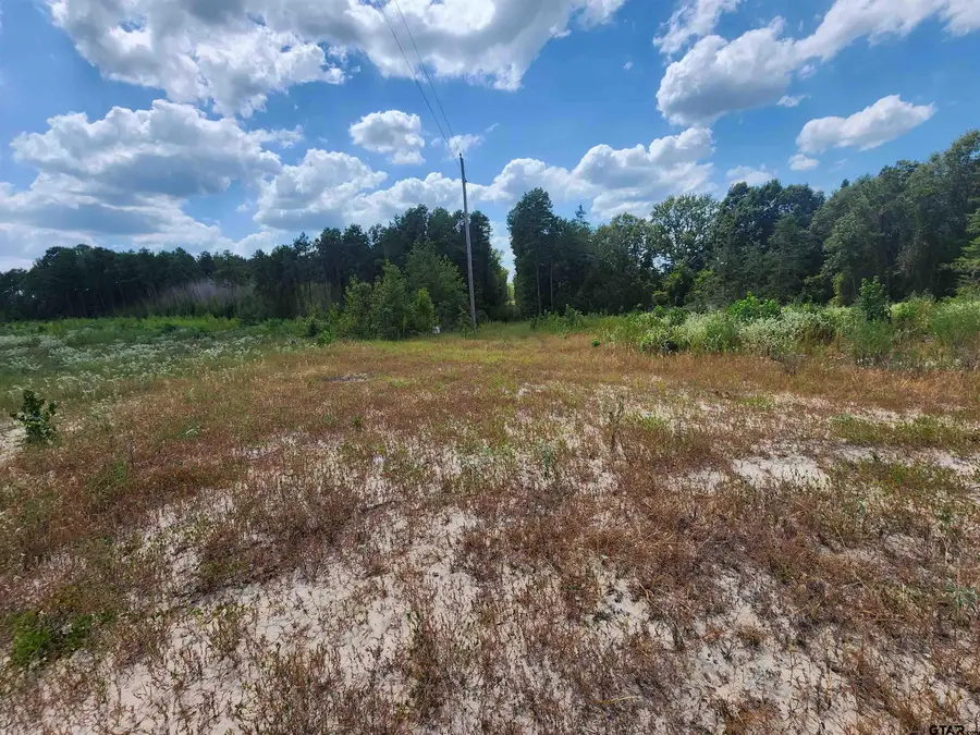 TRACT 5 TBD COUNTY ROAD 1762, Linden, TX 75563 - Image #3