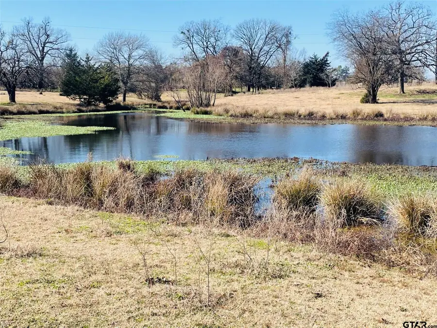 22ac Lot2A County Road 2376, Winnsboro, TX 75494 - Image #3
