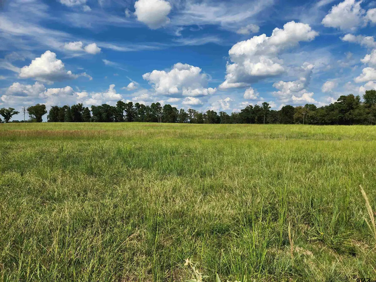 LOT 4 FM 1402, Mount Pleasant, TX 75455 - #1