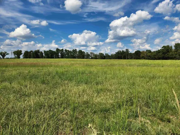 LOT 4 FM 1402, Mt Pleasant, TX 75455