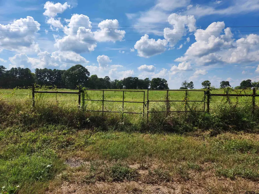 LOT 4 FM 1402, Mount Pleasant, TX 75455 - #2