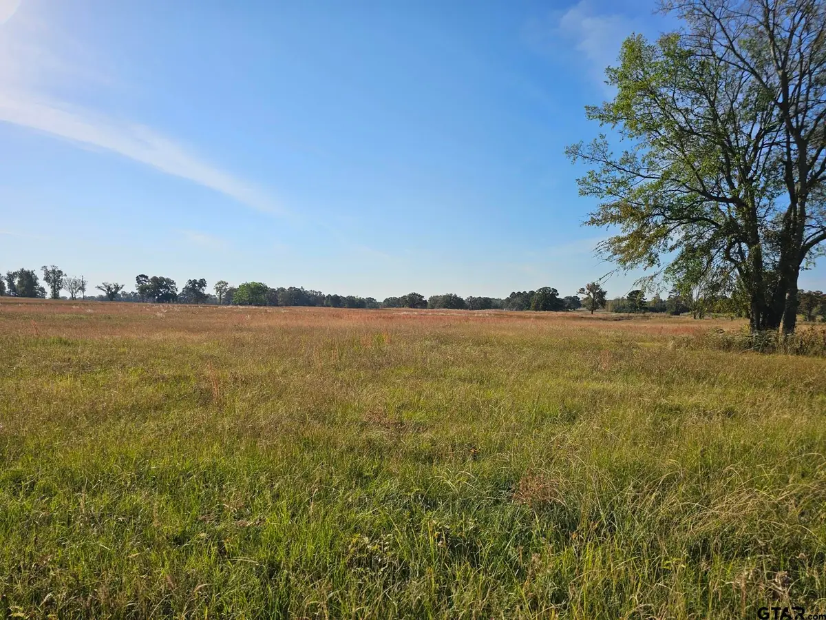 LOT 16 CR 3270, Mount Pleasant, TX 75455 - #1