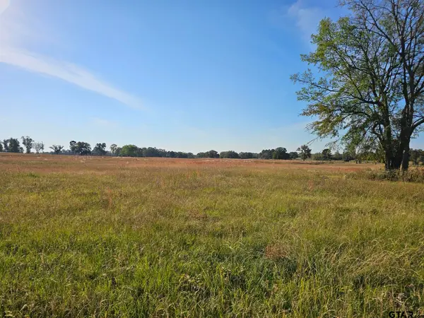 LOT 16 CR 3270, Mt Pleasant, TX 75455