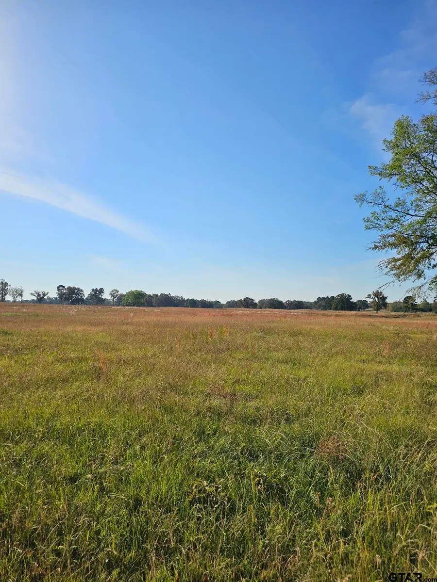 LOT 16 CR 3270, Mount Pleasant, TX 75455 - #2