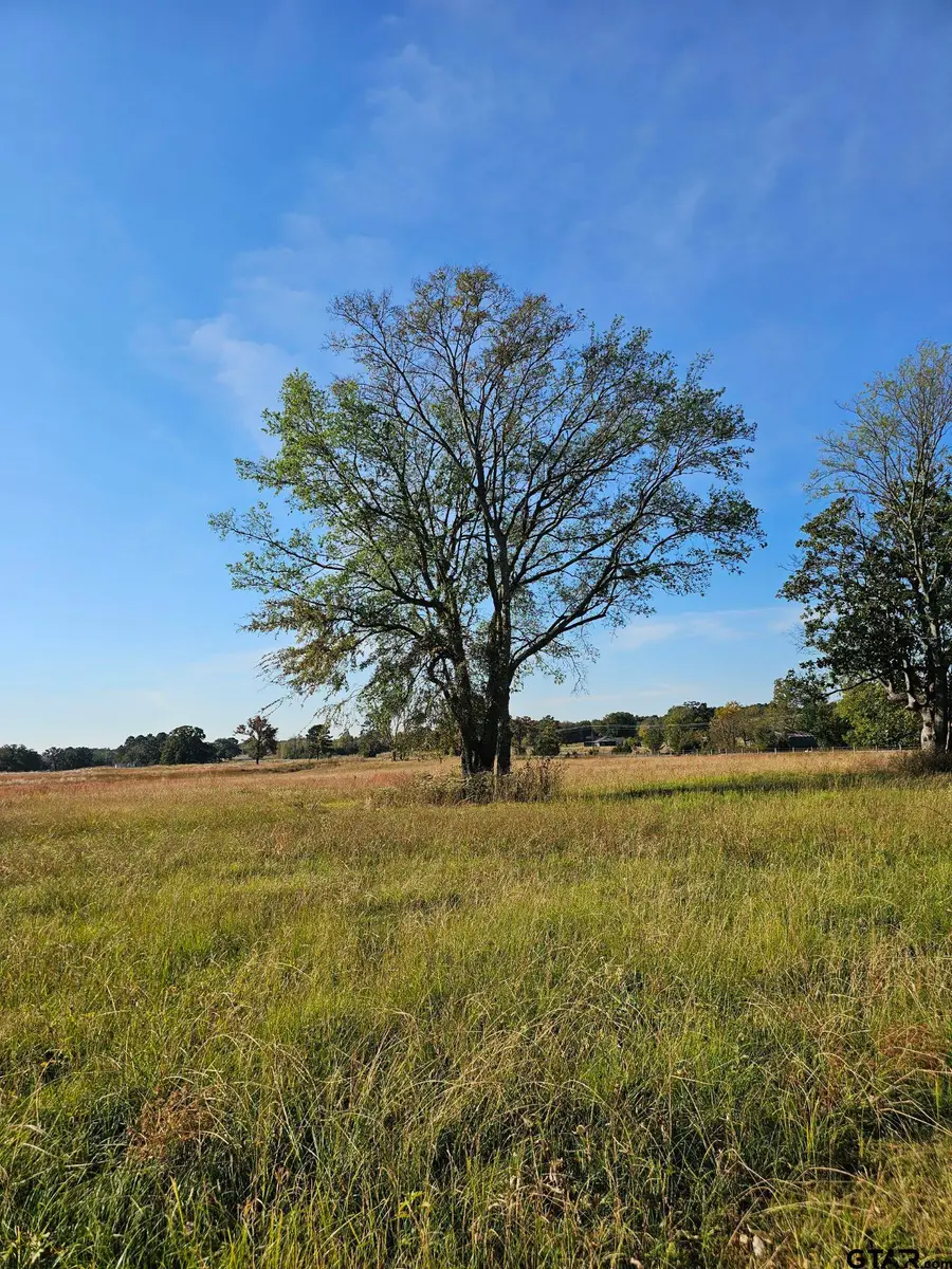 LOT 16 CR 3270, Mount Pleasant, TX 75455 - #3