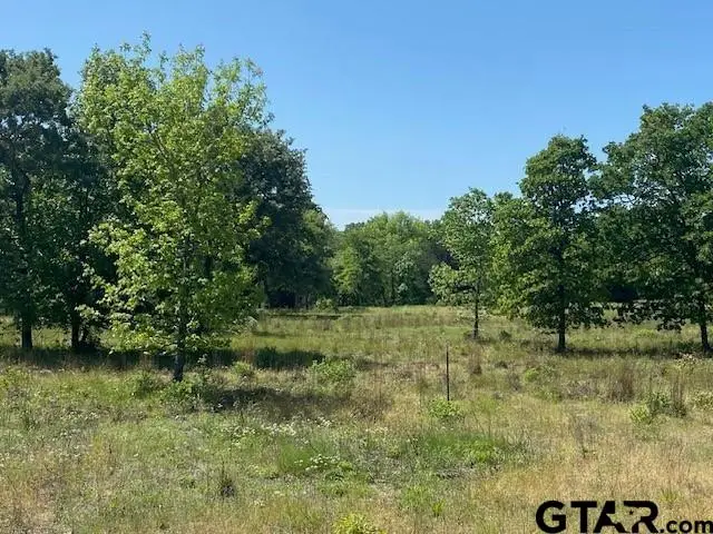 7130 Whispering Oaks Drive, Athens, TX 75752 - Image #2