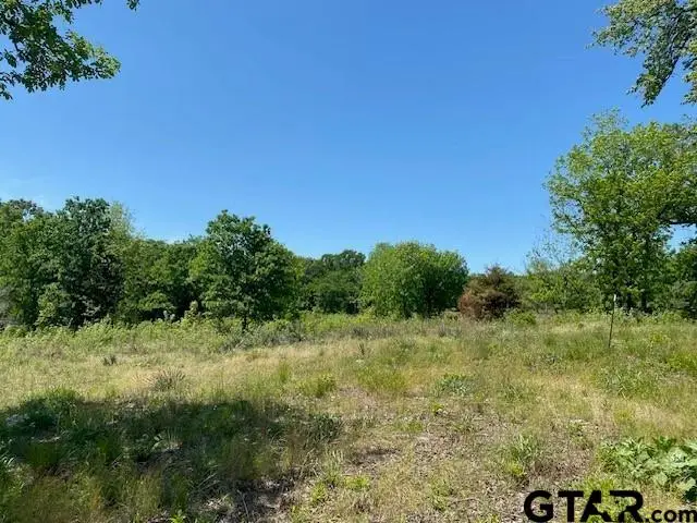 7110 Whispering Oaks Drive, Athens, TX 75752 - Image #2