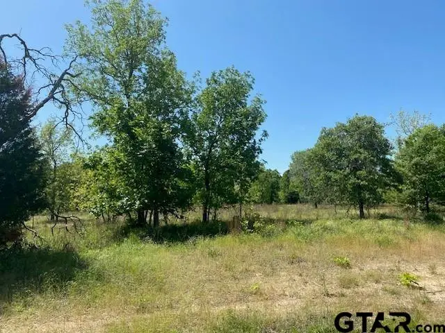 7110 Whispering Oaks Drive, Athens, TX 75752 - Image #3