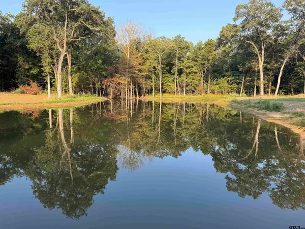 000 CR 1138, Cumby, TX 75433