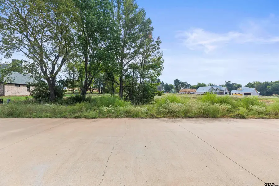 13986 Cedar Vista Ln, Tyler, TX 75704 - Image #2