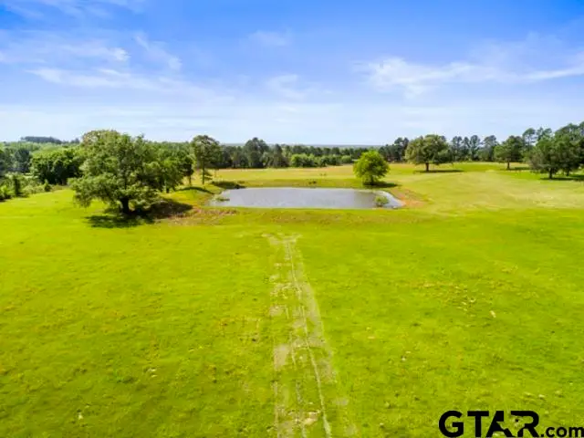 000 FM 17, Alba, TX 75410 - Image #3