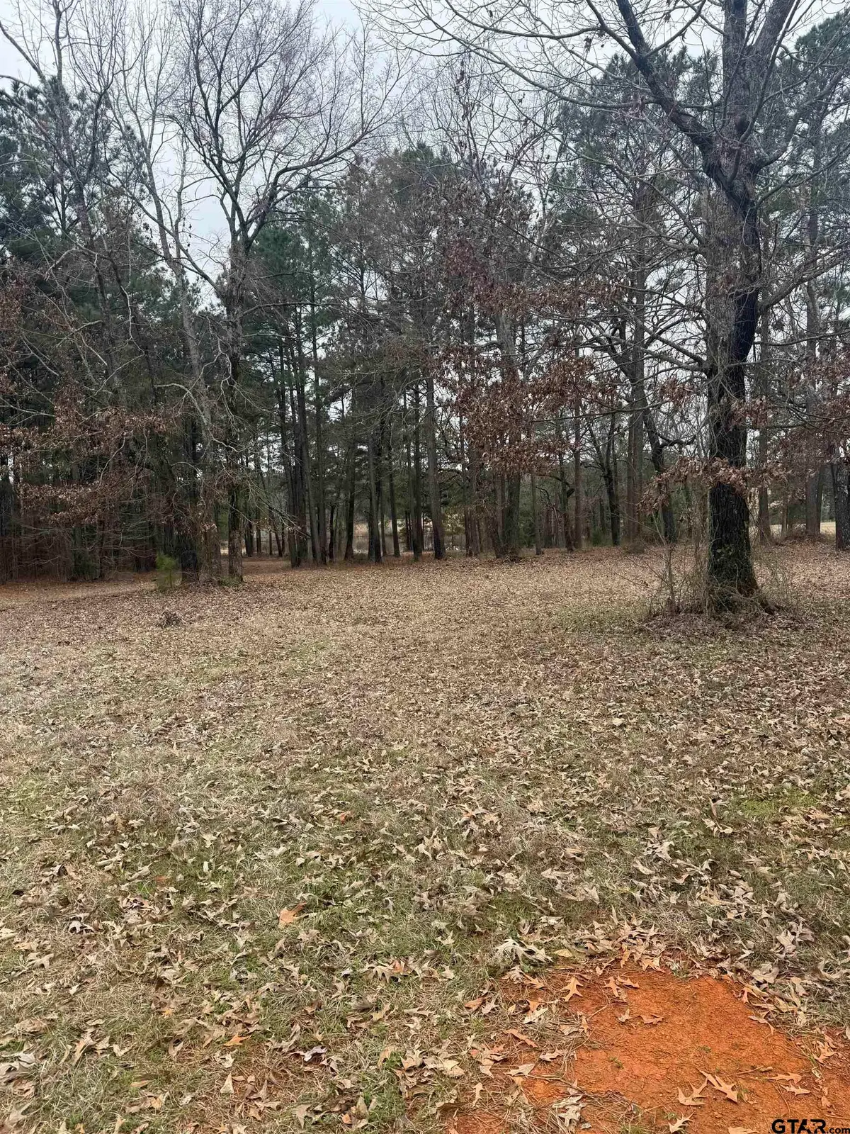 1040 FM 2682, Karnack, TX 75661 - Image #1