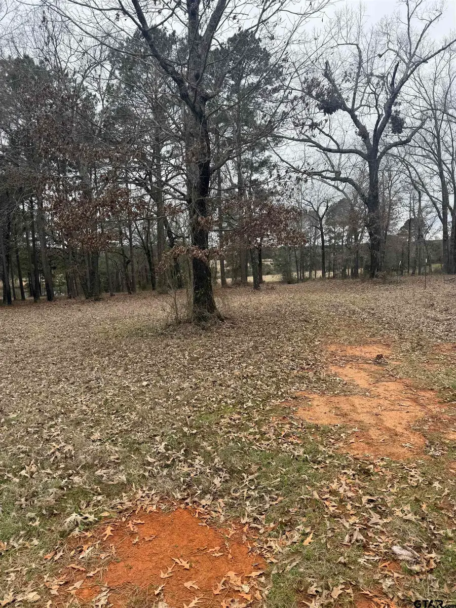 1040 FM 2682, Karnack, TX 75661 - Image #2