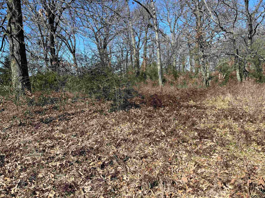 000 W Ferguson, Mount Pleasant, TX 75455 - Image #2