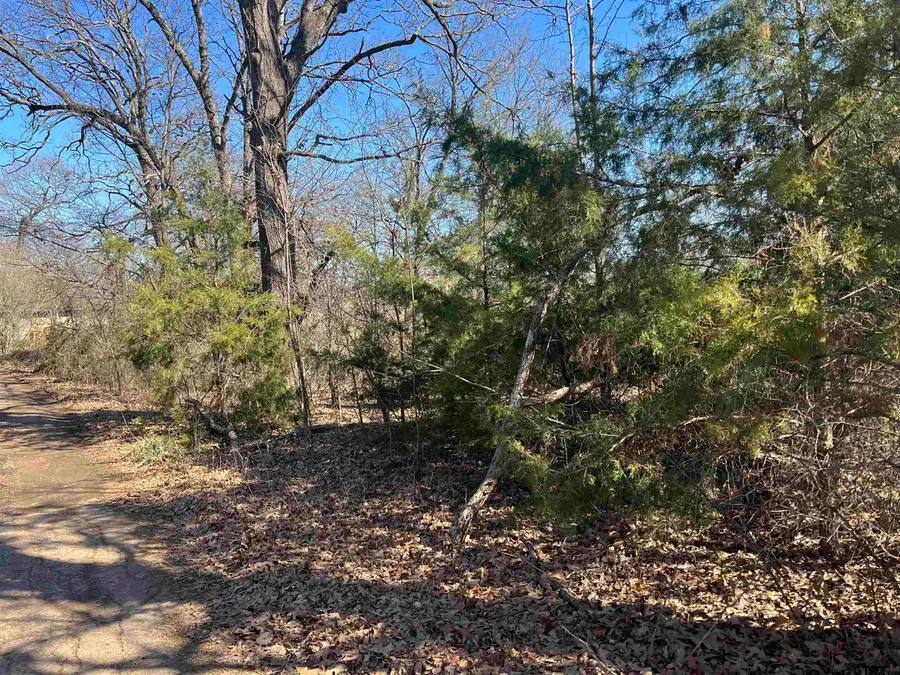 000 W Ferguson, Mount Pleasant, TX 75455 - Image #3