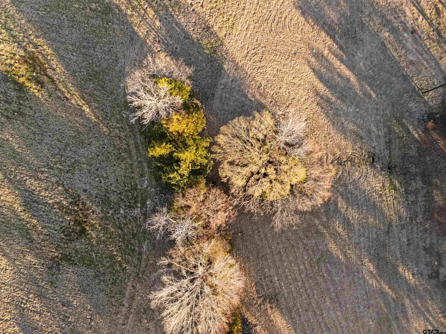 12753 Ridgeway Court, Winona, TX 75792 - Image #3