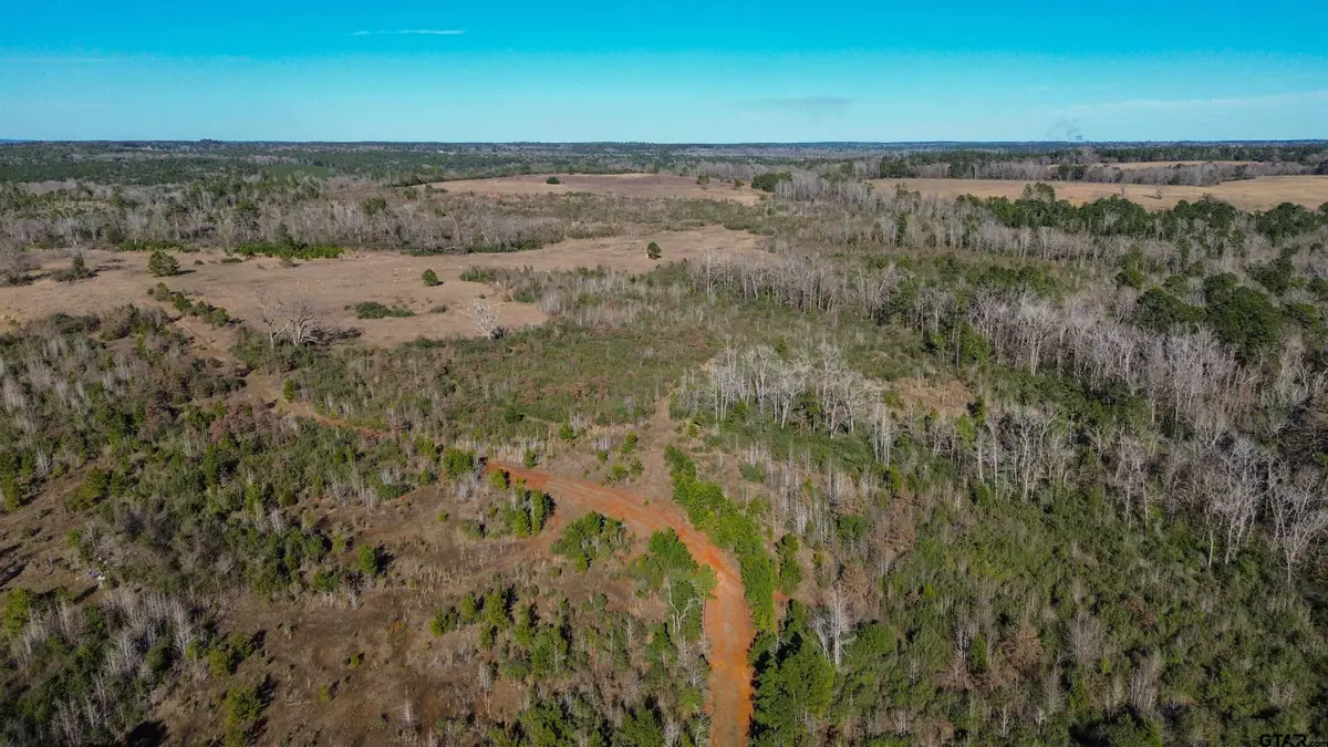 000 CR 2240, Grapeland, TX 75844 - Image #1